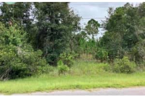 0 STARRY STREET, ORLANDO, FL 32833 - MLS#MFRO6084901