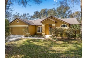 1800 SILVER VALLEY COURT, APOPKA, FL 32712 Sold 05/18/23