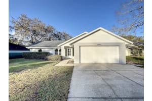 3985 Wood Dr, Mt Dora, FL 32757, Sold 03/08/23