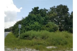 MLS# MFRO6086906, Kissimmee, Florida 34744