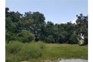 MLS# MFRO6086906, Kissimmee, Florida 34744