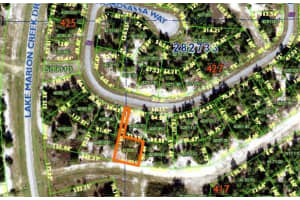 1352 HOMOSASSA DRIVE, POINCIANA, FL 34759 - MLS#MFRO6086978