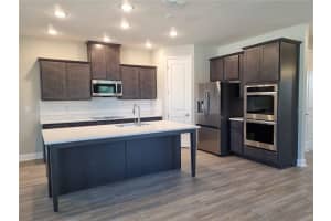 155 STANLEY BELL DRIVE, MOUNT DORA, FL 32757 Sold 12/13/24