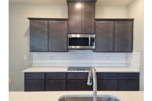 155 STANLEY BELL DRIVE, MOUNT DORA, FL 32757 Sold 12/13/24