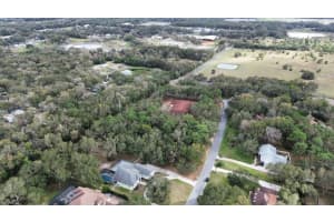 OAK ALLEY, APOPKA, FL 32703 - MLS#MFRO6089373