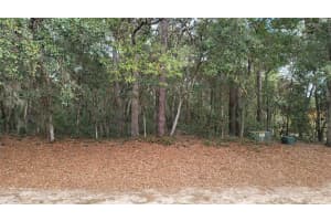 OAK ALLEY, APOPKA, FL 32703 - MLS#MFRO6089373