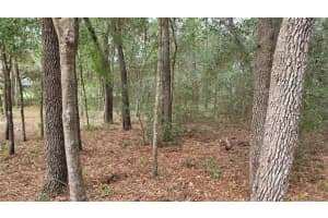 OAK ALLEY, APOPKA, FL 32703 - MLS#MFRO6089373