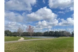 9382 MUSTARD LEAF DRIVE, ORLANDO, FL 32827 Sold 05/08/23