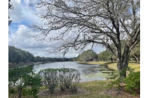 9382 MUSTARD LEAF DRIVE, ORLANDO, FL 32827 Sold 05/08/23