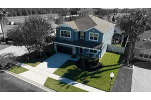 519 Belle Fern Ct