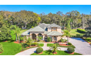 195 OSPREY HAMMOCK TRAIL, SANFORD, FL 32771 Sold 04/21/23