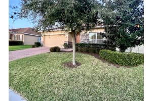 11317 LITTLE NELLIE DRIVE, CLERMONT, FL 34711 Sold 06/29/23