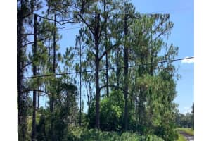 CAESAR AVE, ORLANDO, FL 32833 - MLS#MFRO6095897