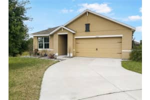 11906 LITTLE VIOLET DRIVE, RIVERVIEW, FL 33578 Sold 06/26/23