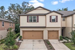 5324 SYLVESTER LOOP, TAMPA, FL 33610 Sold 06/05/23