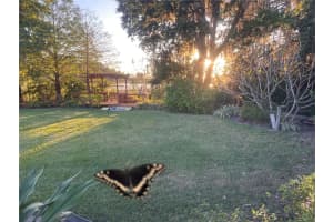 9346 LAKE HICKORY NUT DRIVE, WINTER GARDEN, FL 34787 Sold 07/27/23