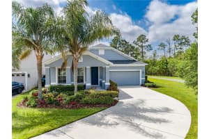 14545 YELLOW BUTTERFLY ROAD, WINDERMERE, FL 34786 Sold 06/06/23