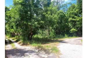 TBD TROPICAL DRIVE, EUSTIS, FL 32726 - MLS#MFRO6104825