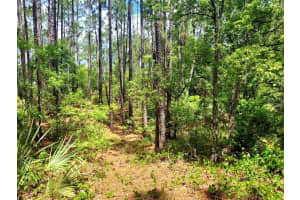 TBD TROPICAL DRIVE, EUSTIS, FL 32726 - MLS#MFRO6104825