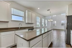 9725 AMBER CHESTNUT WAY, WINTER GARDEN, FL 34787 Sold 06/05/23
