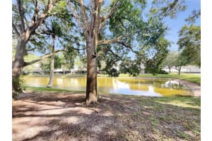 6920 LAKEVIEW COURT, TAMPA, FL 33634 Sold 05/31/23