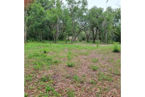 2115 HAAS ROAD, APOPKA, FL 32712 Sold 06/24/25