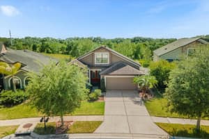 6549 BOULDER RUN LOOP, WESLEY CHAPEL, FL 33545 Sold 06/26/23