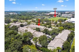 5041 SUNRIDGE PALMS DRIVE, TAMPA, FL 33617 Sold 06/15/23