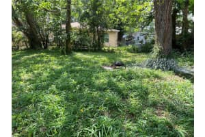 3664 SUMMER HAVEN LANE, APOPKA, FL 32703 Sold 10/11/23