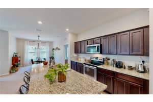 16427 WINDING BLOSSOM DRIVE, GROVELAND, FL 34736 Sold 07/11/23