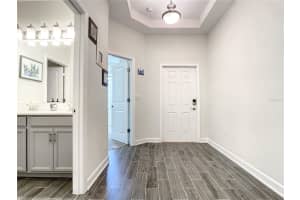 10067 YELLOW JASMINE DRIVE, ORLANDO, FL 32832 Sold 06/28/23