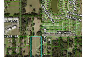 5231 County Road 144, WILDWOOD