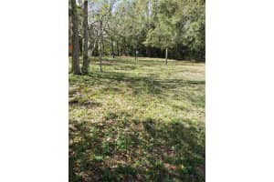 9312 TREVARTHON ROAD, ORLANDO, FL 32817 - MLS#MFRO6114729