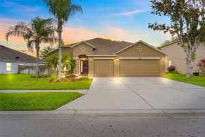 9705 ASBEL ESTATES STREET, LAND O LAKES, FL 34638 Sold 08/13/23