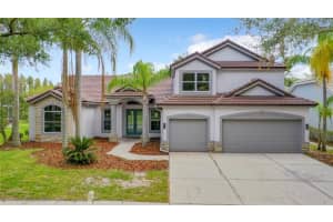 10218 GARDEN ALCOVE DRIVE, TAMPA, FL 33647 Sold 11/20/23