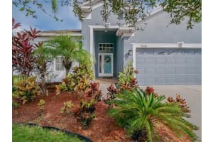 31248 BRIDGEGATE DRIVE, WESLEY CHAPEL, FL 33545 Sold 07/20/23
