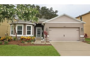3645 UMBRELLA COURT, TAVARES, FL 32778 Sold 09/01/23