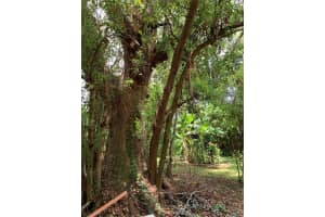 815 Agnes Dr, Altamonte Springs, FL 32701, Sold 07/18/23