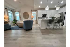 250 OCEAN HAMMOCK LOOP, DAYTONA BEACH, FL 32124 Sold 08/02/23