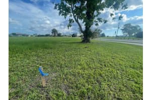 17230 CAPE HORN BOULEVARD, PUNTA GORDA, FL 33955 - MLS#MFRO6126275