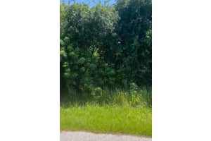 CARIBOU AVE, NORTH PORT, FL 34287 Sold 11/29/24