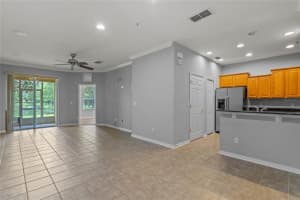 14105 OASIS COVE BOULEVARD, WINDERMERE, FL 34786 Sold 09/01/23