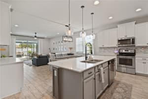 3342 WOLF RUN, MOUNT DORA, FL 32757 Sold 09/20/23