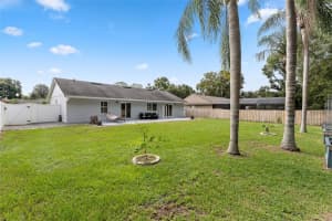 9385 PALM TREE DRIVE, WINDERMERE, FL 34786 Sold 10/16/23