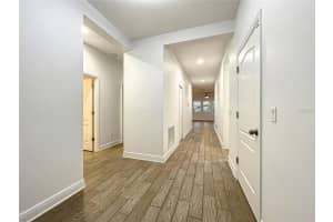 15586 HAMLIN BLOSSOM AVENUE, WINTER GARDEN, FL 34787 Sold 10/03/23