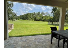 14551 YELLOW BUTTERFLY ROAD, WINDERMERE, FL 34786 Sold 09/14/23