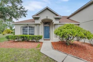 229 BLUE HERON COURT, DAVENPORT, FL 33837 Sold 10/20/23