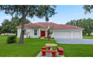 10509 LITHIA ESTATES DRIVE, LITHIA, FL 33547 Sold 12/13/24