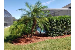 8129 FAN PALM WAY, KISSIMMEE, FL 34747 Sold 01/04/24