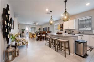 217 CITRUS ISLE LOOP, DAVENPORT, FL 33837 Sold 10/30/23